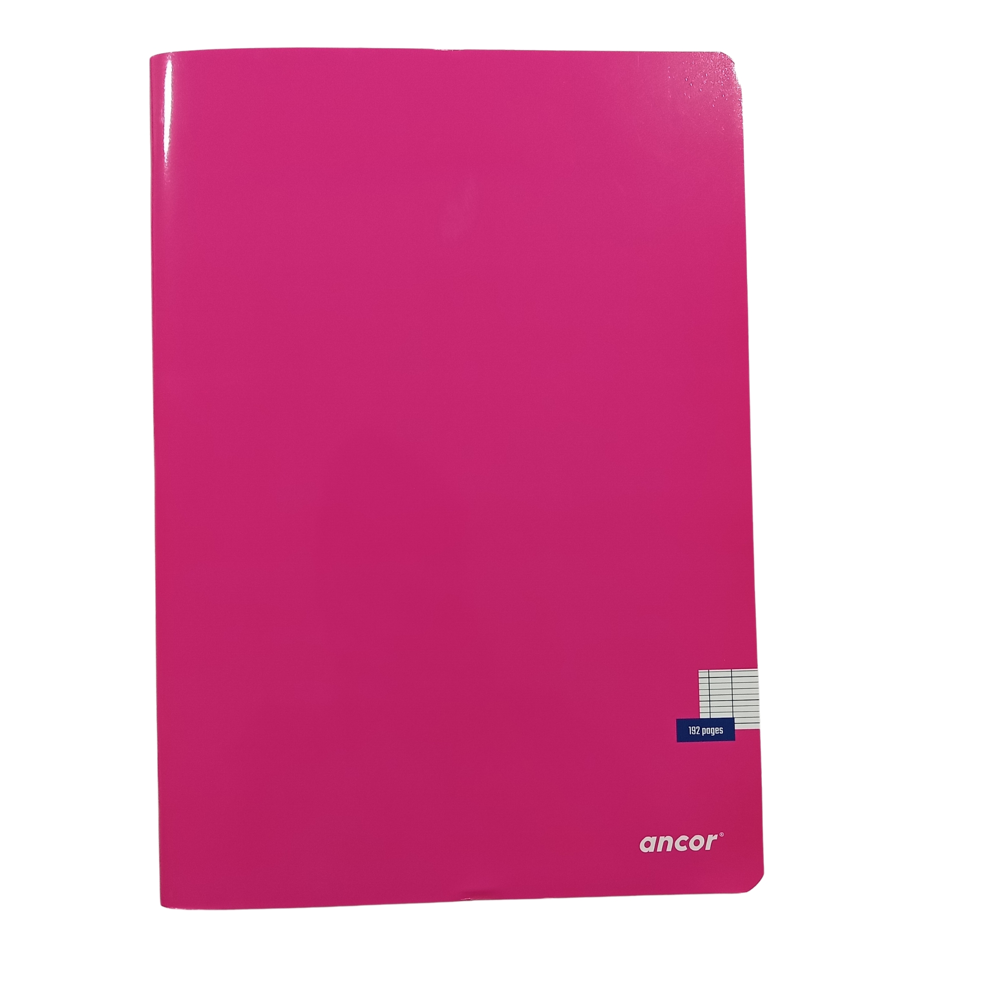 CAHIER PIQUE 192P  21*29.7 90G SYSES ANCOR