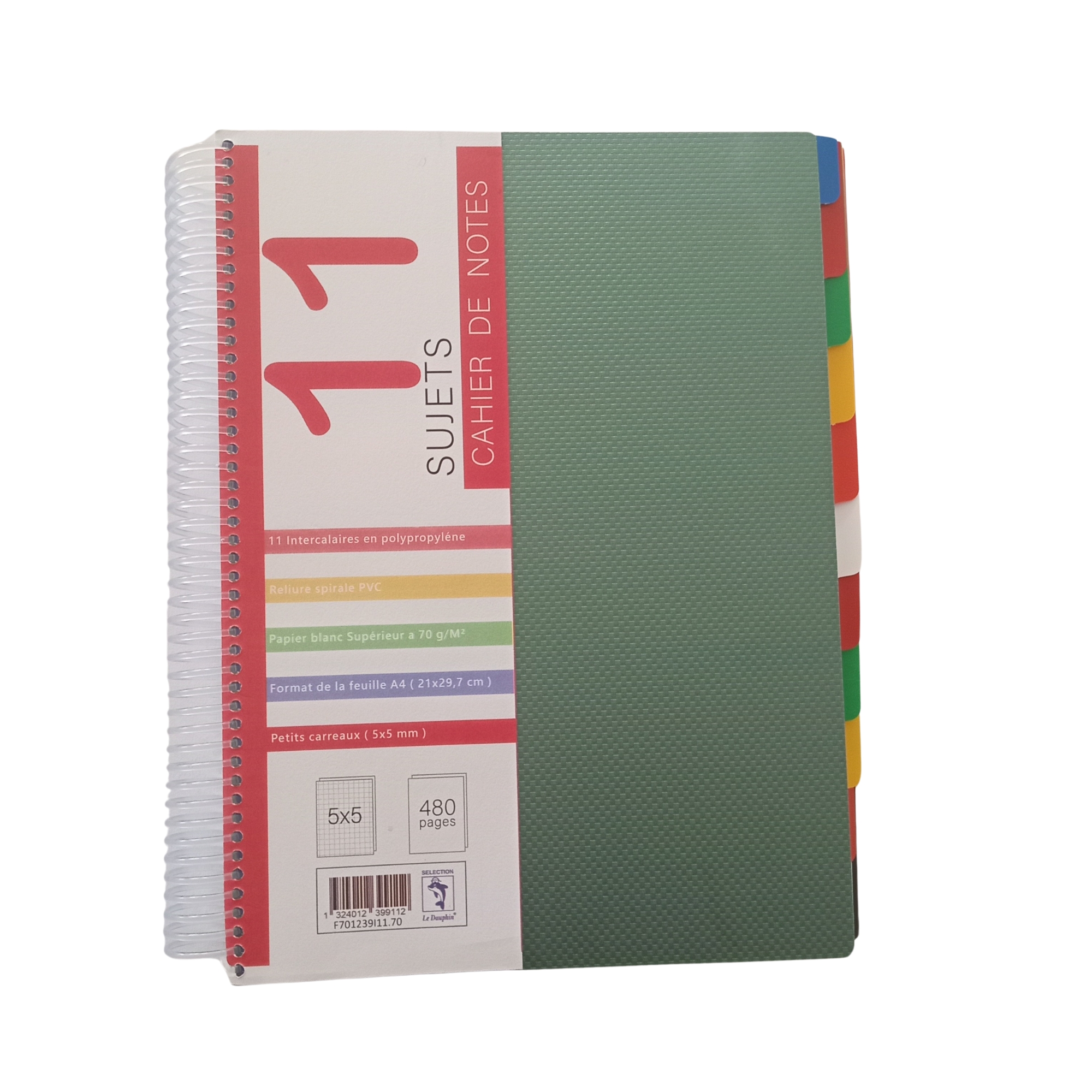 CAHIER SPIRALE SIMPLE POLYPROPYLENE 10 SUJET 384 PAGES 5*5.A4