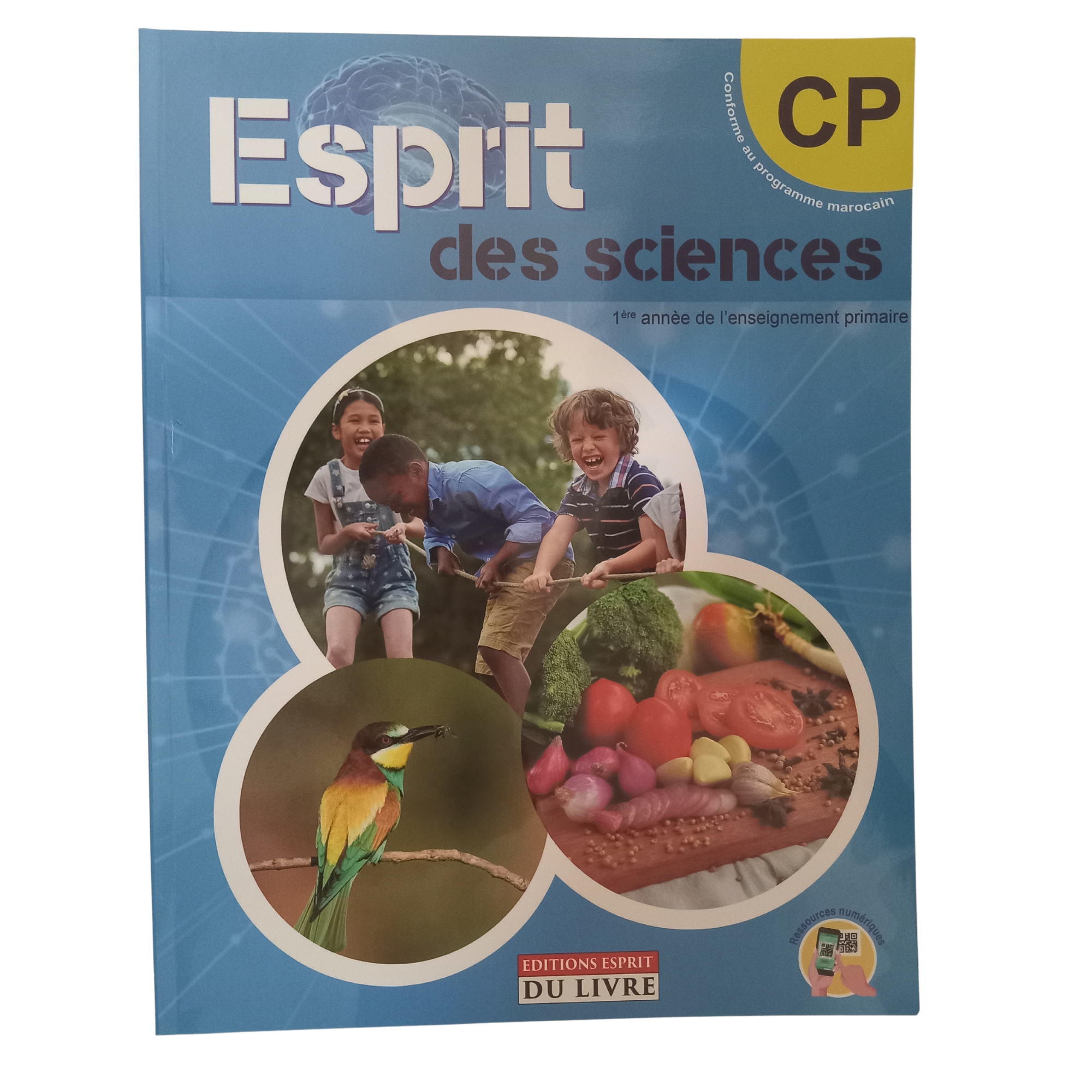ESPRIT DES SCIENCES CP ED-ESPRIT DU LIVRE